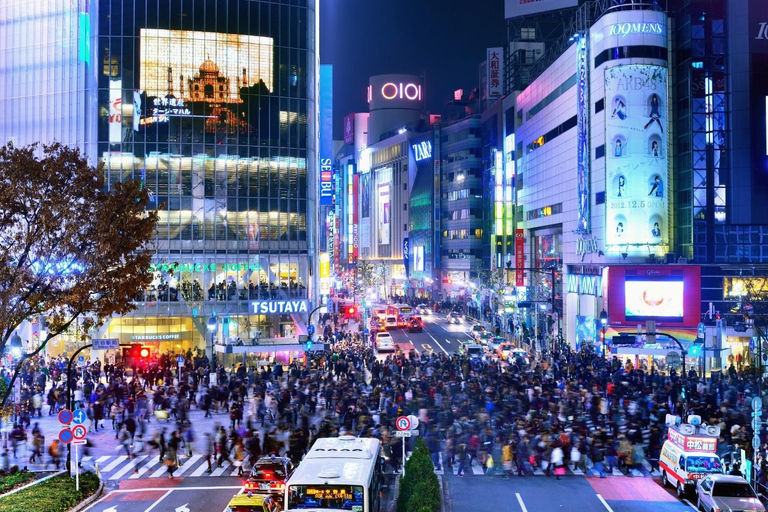 Tokyo: City One Day Private Tour of Must-See Places