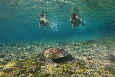 Gili Air: Small-Group Snorkeling Tour with GoPro