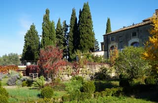 Florenz: Wein-Tour mit Käseverkostung & Mittagessen bei einem Metzger