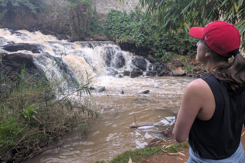 Karura Forest walking tour with nature and waterfalls.