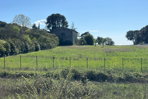 Montpellier: Guided Nature Ride at Lac du Crès by Electric Bike Montpellier: Guided Nature Ride on Lake Crès by Electric Bike