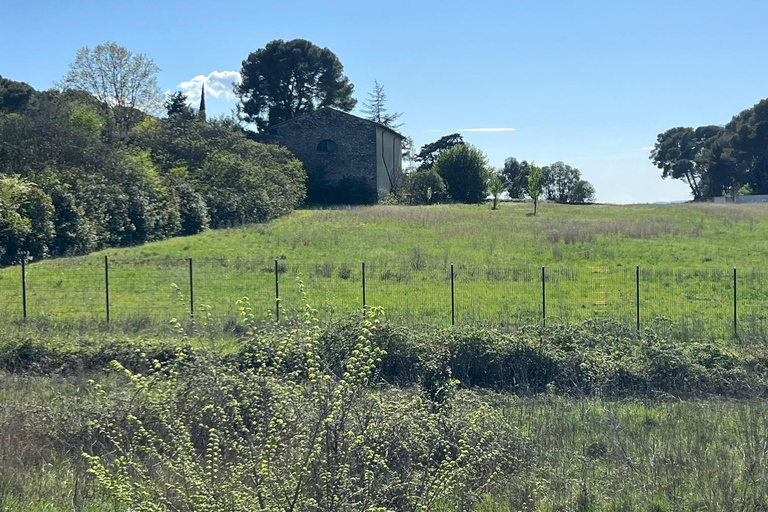 Montpellier: Guided Nature Ride at Lac du Crès by Electric Bike Montpellier: Guided Nature Ride on Lake Crès by Electric Bike