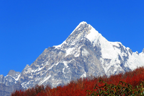 Langtang Vallei TrekPrivé trektocht zonder maaltijden maar beschikbaar voor aankoop