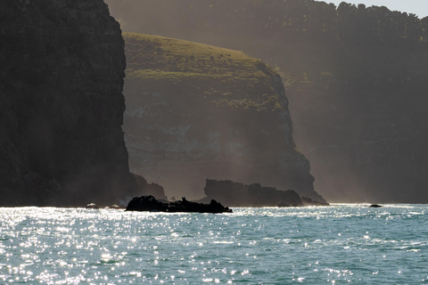 Christchurch: Akaroa Dolphin Cruise & French Heritage Tour