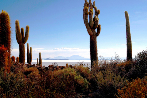 PIANA DI SALE DI UYUNI E VULCANO TUNUPA: SPEDIZIONE DI 2 GIORNI/1 NOTTE