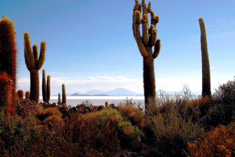 SALINES D&#039;UYUNI ET VOLCAN TUNUPA : EXPÉDITION DE 2 JOURS ET 1 NUIT