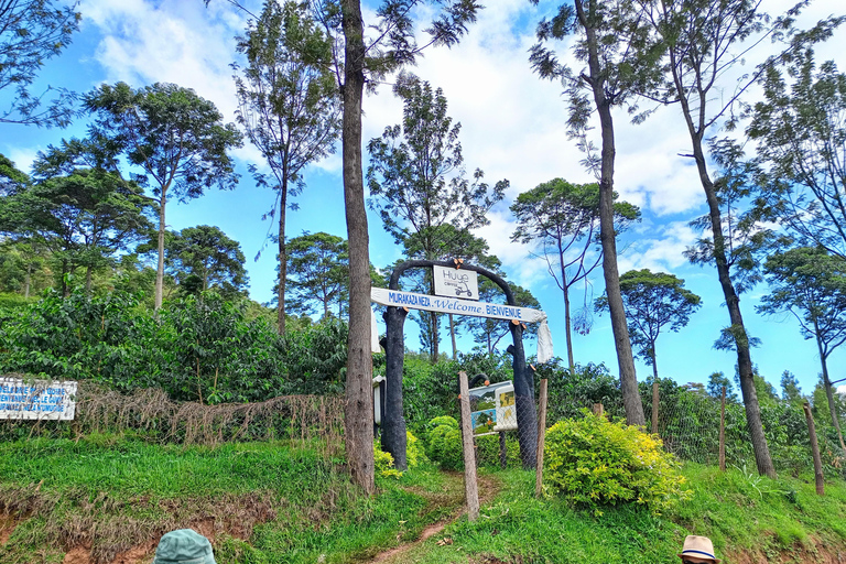 VISITA A UNA PLANTACIÓN DE CAFÉ