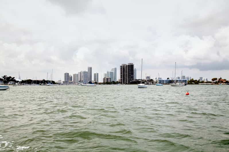 Miami: Duck Tour of Miami and South Beach | GetYourGuide