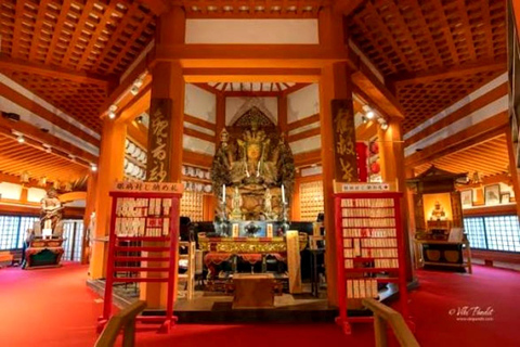 Osaka/Kyoto: Private Nara Day Trip with Guide and Luxury Van