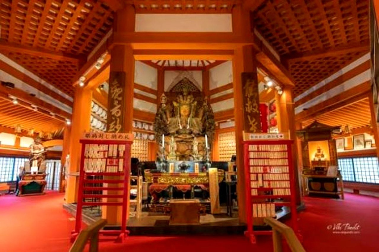 Osaka/Kyoto: Private Nara Day Trip with Guide and Luxury Van