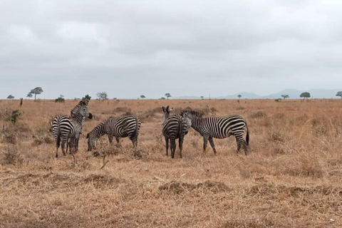 3 Days 2 Nights Ngorongoro,Manyara & Tarangire-Camping