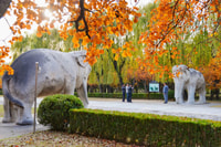 Tour privato, Juyongguan Grande Muraglia, Sacred Road&Ming Tombe - Hizvo