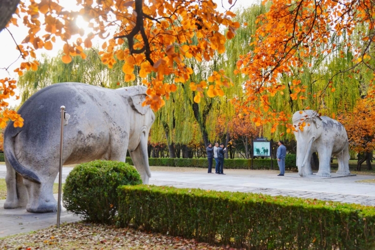 Beijing: Summer Palace Sacred Road & Ming Tombs Private Tour Private Tour package with entrance fee and lunch