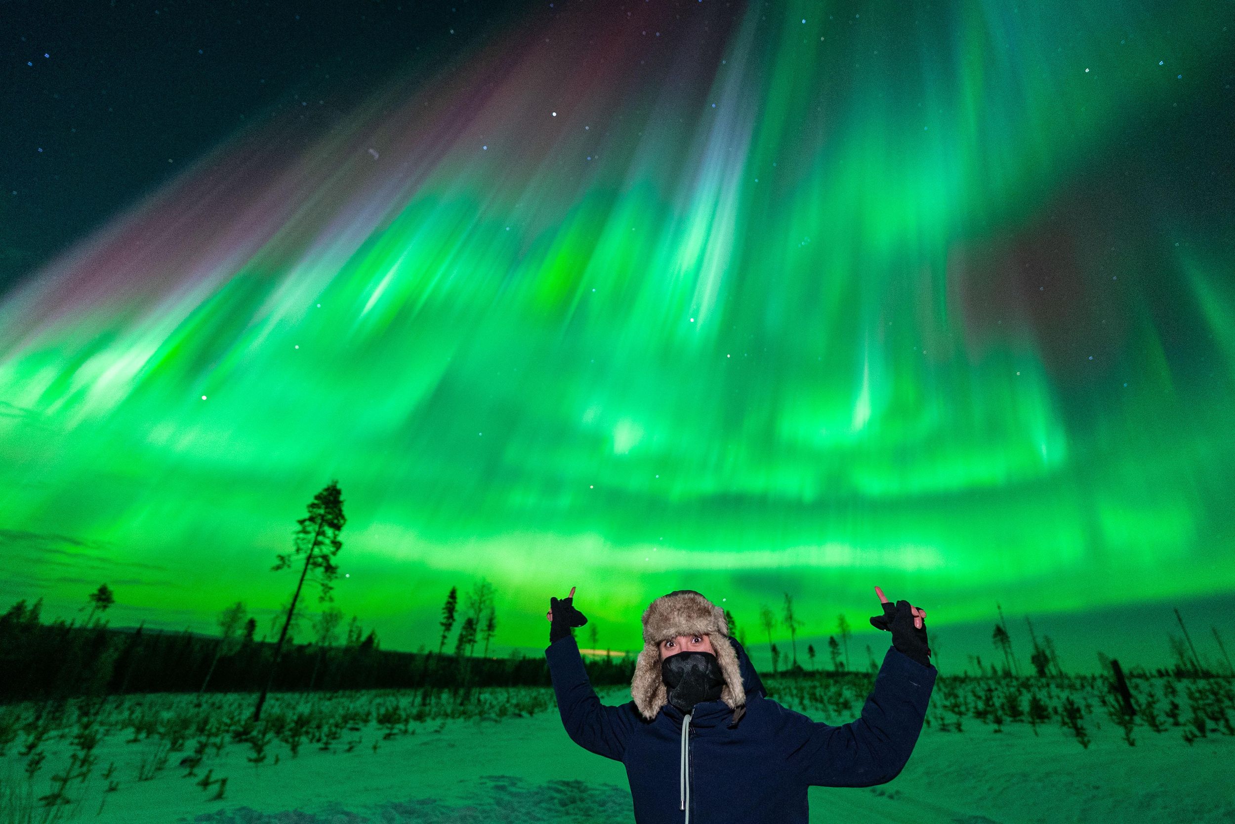 Rovaniemi: Garantierte Nordlichter-Tour in kleiner Gruppe