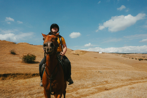 Tiflis: Experiencia de montar a caballoTiflis: Experiencia de equitación 2