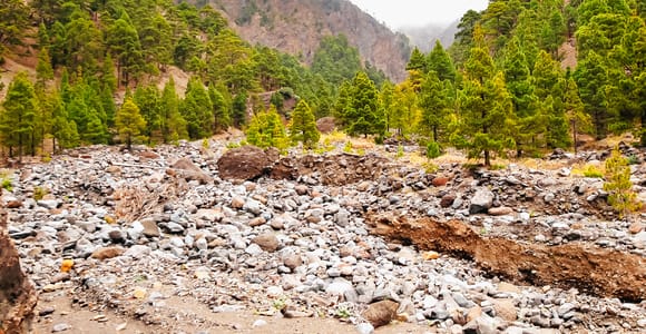 Pine-covered slopes under low cloud above a stony stream bed in the Caldera de Taburiente
