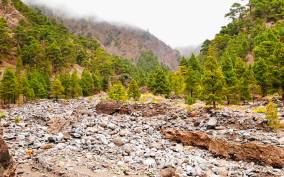 La Palma: Caldera de Taburiente National Park Guided Hike
