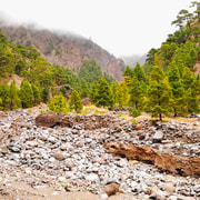 La Palma: Geführte Wanderung im Nationalpark Caldera de Taburiente