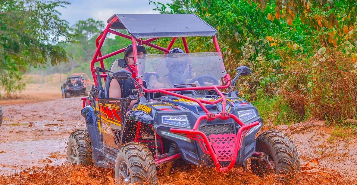 バギーでの小旅行 マジェスティック エレガンス マジェスティック コロニアル GetYourGuide