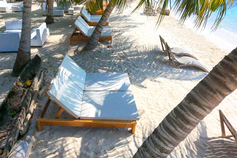 Cartagena: Day Trip to Barú Island, Baruch Wave Beach Club + Lunch + Snorkeling