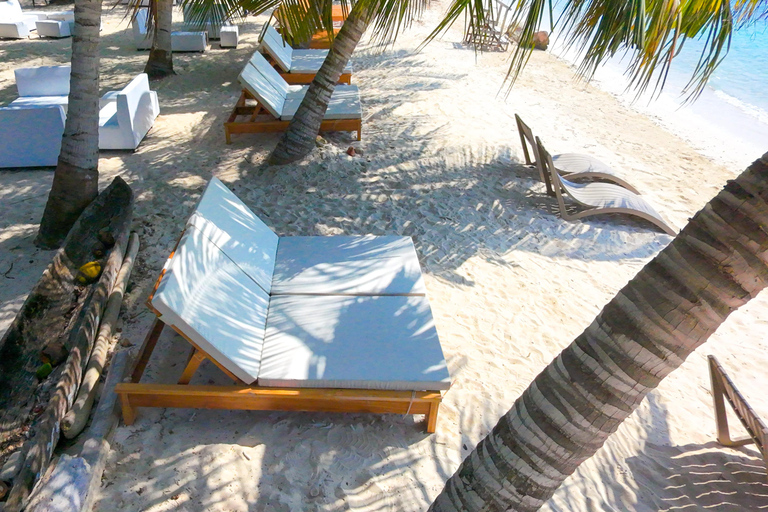Cartagena: Day Trip to Barú Island, Baruch Wave Beach Club + Lunch + Snorkeling