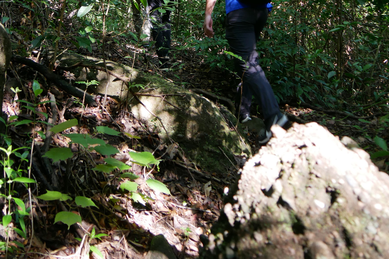 Santuario de My Son y Senderismo de Montaña - PeregrinaciónMi hijo Santuario Viaje de madrugada