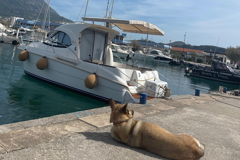 Båtuthyrning i Marina Bar Montenegro