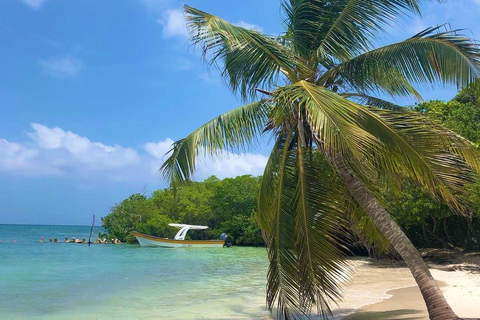 Playa Agua Azul (tour de dia completo todo incluido)