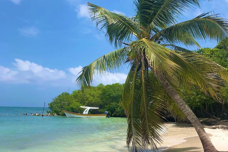 Playa Agua Azul (tour de dia completo todo incluido)