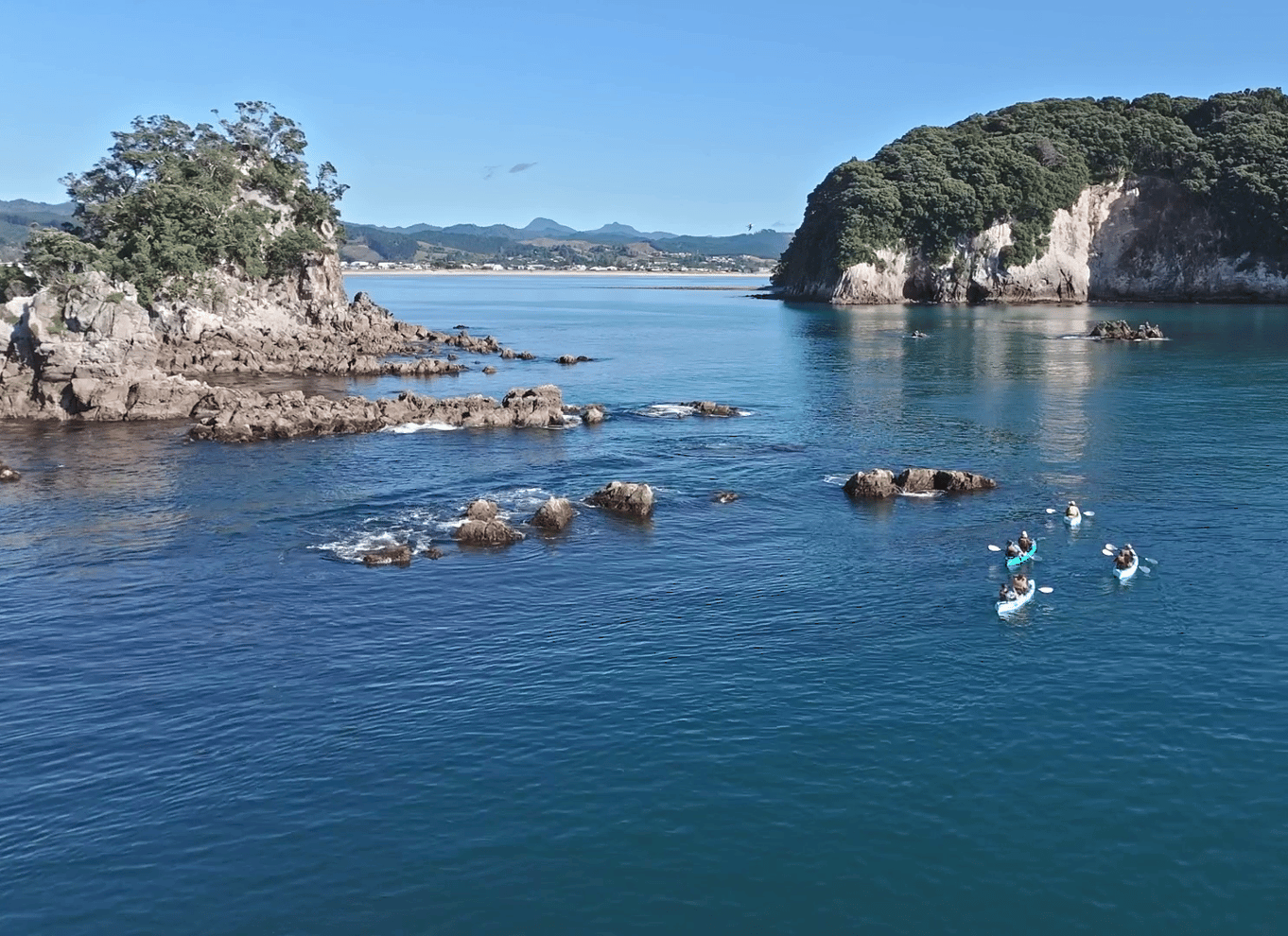 Whangamata: Guidet kajakoplevelse på Donut Island