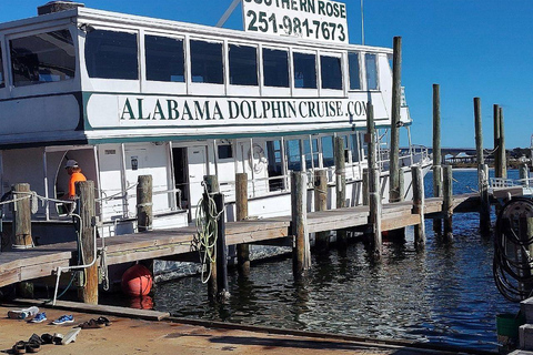 Orange Beach: Dolphin Cruise