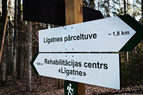 De Riga: Vila de Ligatne e Parque Nacional do Rio Gauja ...