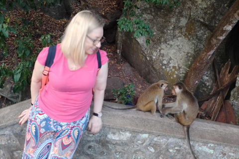 Kandy: Private City Tour by Hybrid Car with Driver