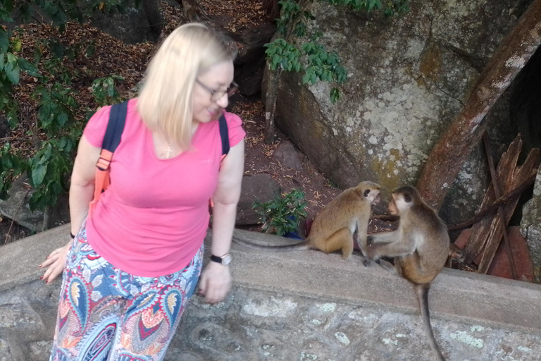 Kandy: Private City Tour by Hybrid Car with Driver