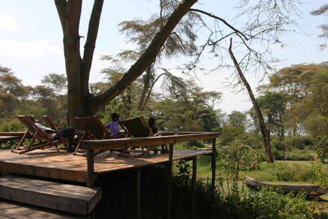 From Nairobi: Naivasha Wellness Retreat with Nature Walks