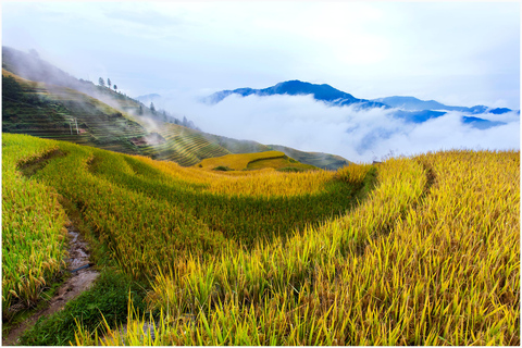 Small Group Day Tour to Longji Rice Terraces With Guide