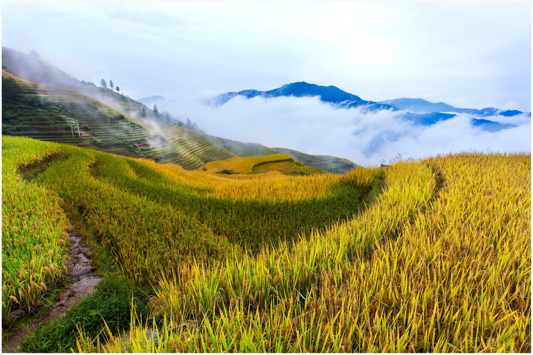 Small Group Day Tour to Longji Rice Terraces With Guide