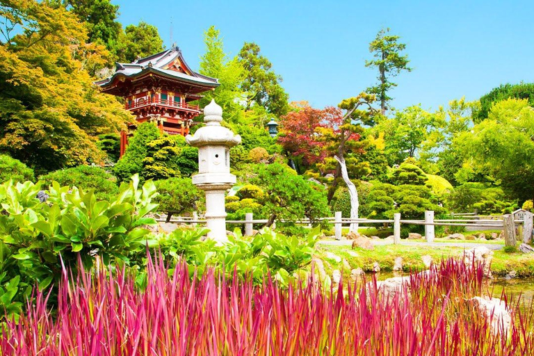 San Francisco: Movie and TV Filming Locations Tour