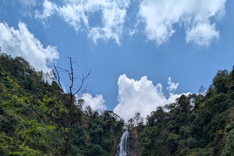 Moshi: Wycieczka z lunchem do wodospadu Materuni i na kawę