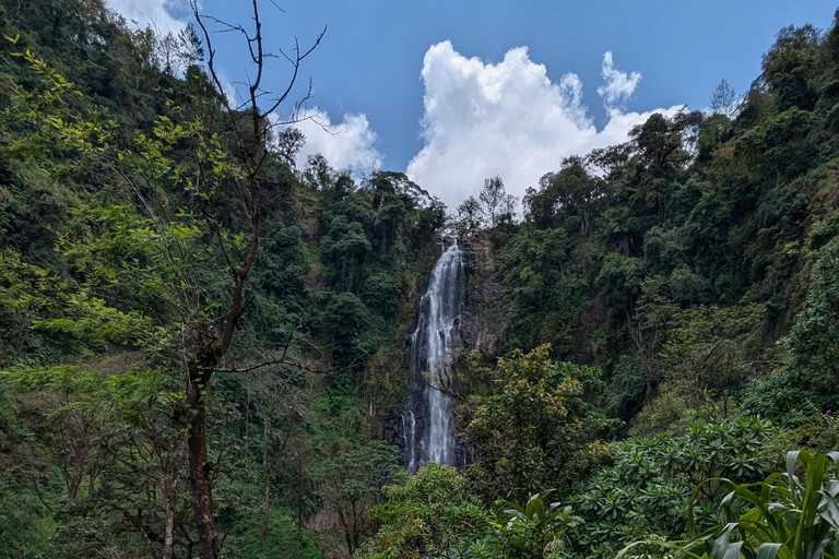 Moshi: Wycieczka z lunchem do wodospadu Materuni i na kawę