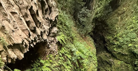 Madeira: Seixal Canyoning Level 3 Adventure