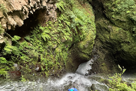 Madeira: Seixal Canyoning Level 3 Adventure