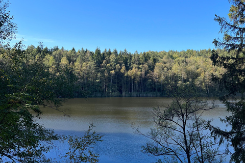 Oslo: schilderachtige wandeling met Noorse gids en traditionele gerechtenOslo: wandelen, Noors eten en adembenemend uitzicht