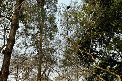 From Jaipur: Sariska National Park Day Tour with Jeep Safari