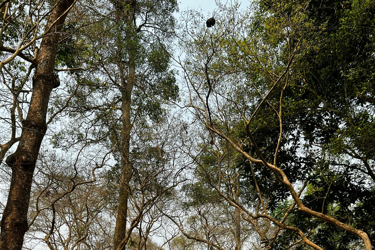 From Jaipur: Sariska National Park Day Tour with Jeep Safari