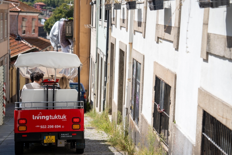 Porto: Elektrische Tuk-Tuk-Stadtrundfahrt und Douro-FlusskreuzfahrtSpanische Tuk-Tuk Tour und Flusskreuzfahrt