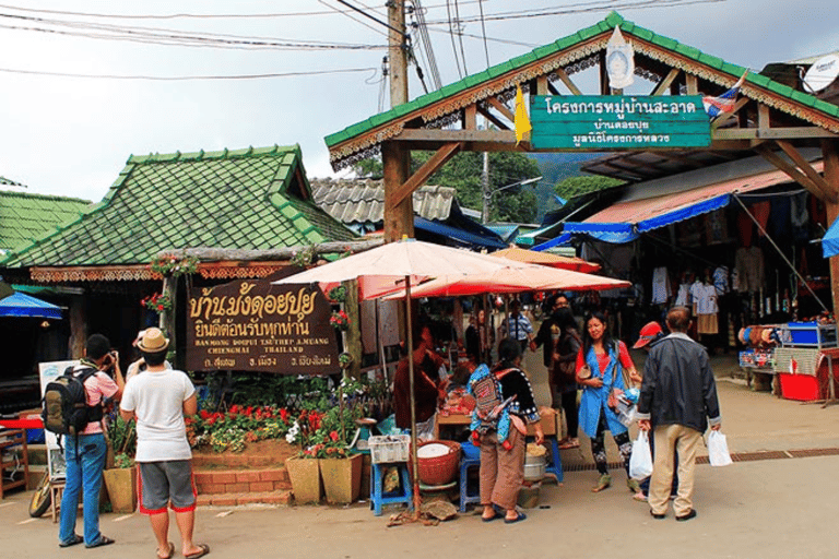 Excursión de medio día a la Aldea Hmong, Doi Suthep y Wat Pha Lat