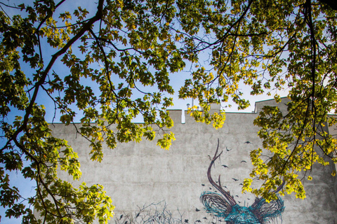 Łódź Street Art Tour: Discover the City of Murals