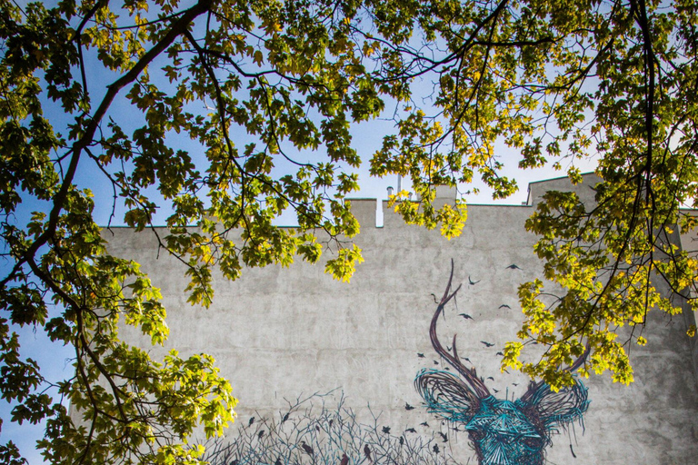 Łódź Street Art Tour: Discover the City of Murals