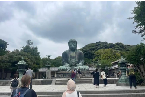 Tokyo: Kamakura & Enoshima Private Guided Day Trip